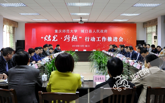会议现场 gg999策略手机白菜供图 华龙网发